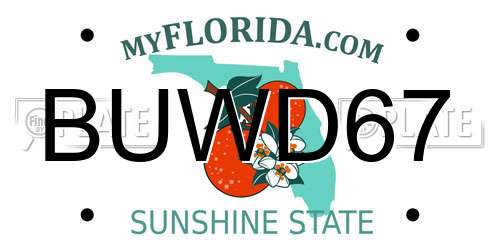 BUWD67 Florida License Plate