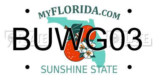 BUWG03 Florida License Plate