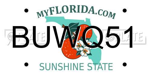 BUWQ51 Florida License Plate