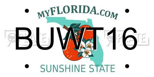 BUWT16 Florida License Plate