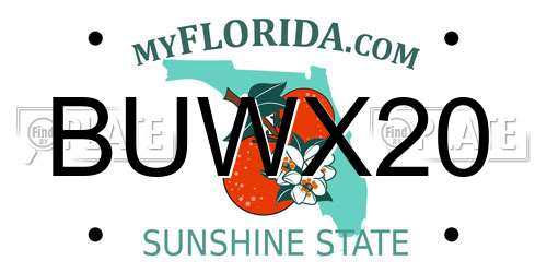 BUWX20 Florida License Plate