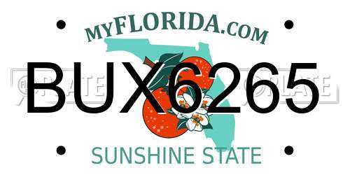 BUX6265 Florida License Plate