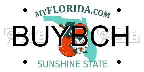 BUYBCH Florida License Plate