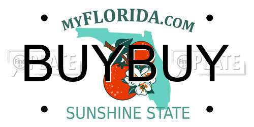 BUYBUY Florida License Plate