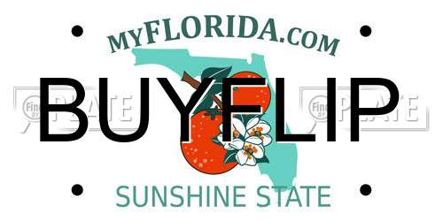 BUYFLIP Florida License Plate