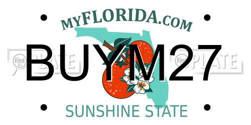 BUYM27 Florida License Plate