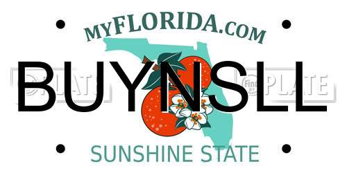 BUYNSLL Florida License Plate
