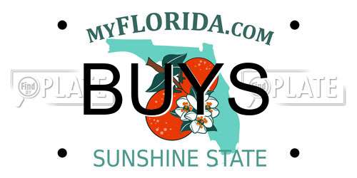 BUYS Florida License Plate
