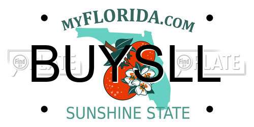 BUYSLL Florida License Plate