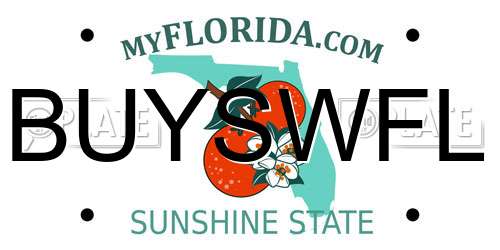 BUYSWFL Florida License Plate