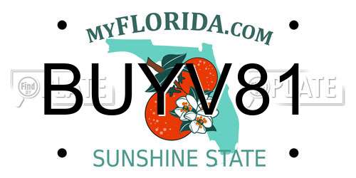 BUYV81 Florida License Plate