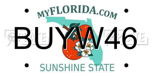 BUYW46 Florida License Plate
