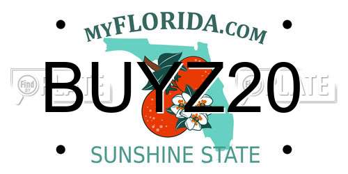 BUYZ20 Florida License Plate