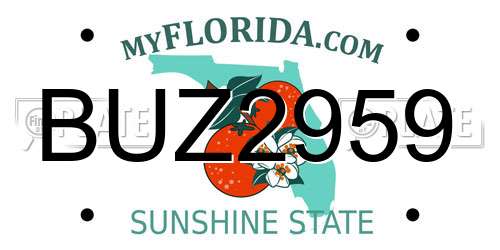 BUZ2959 Florida License Plate