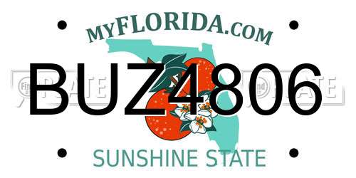 BUZ4806 Florida License Plate