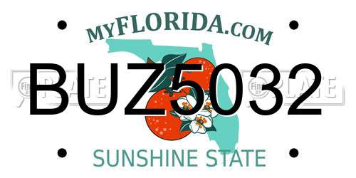 BUZ5032 Florida License Plate