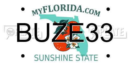 BUZE33 Florida License Plate