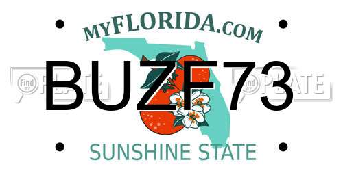 BUZF73 Florida License Plate