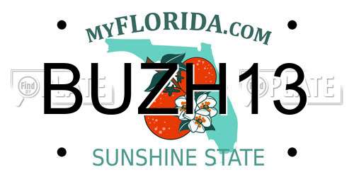 BUZH13 Florida License Plate