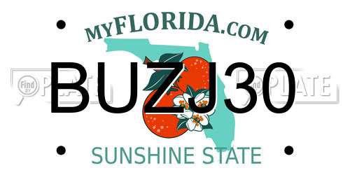BUZJ30 Florida License Plate