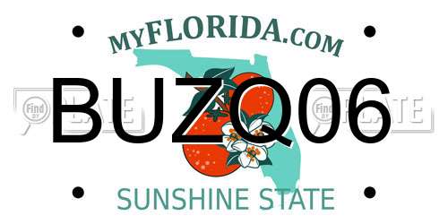 BUZQ06 Florida License Plate