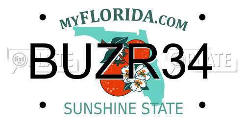 BUZR34 Florida License Plate