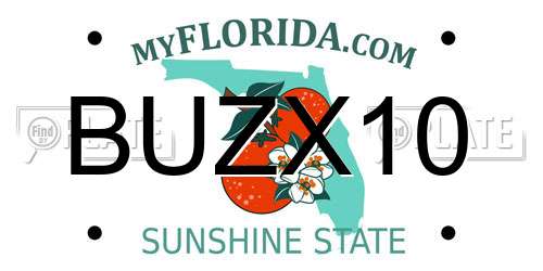 BUZX10 Florida License Plate