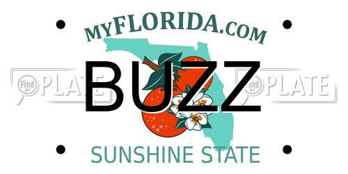 BUZZ Florida License Plate