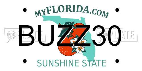 BUZZ30 Florida License Plate
