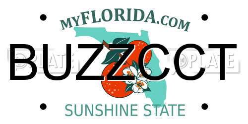 BUZZCCT Florida License Plate