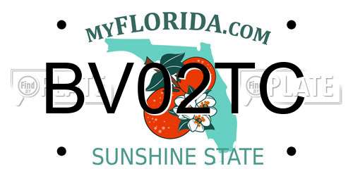 BV02TC Florida License Plate
