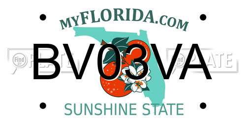 BV03VA Florida License Plate