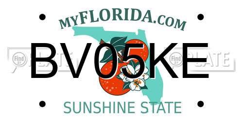 BV05KE Florida License Plate