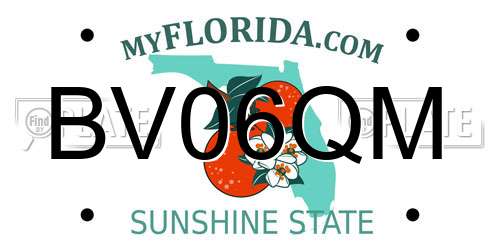 BV06QM Florida License Plate