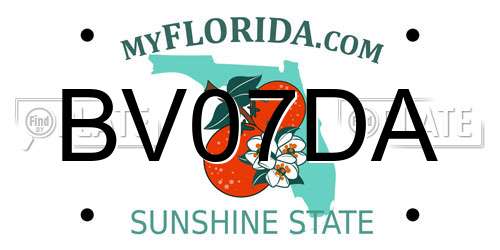 BV07DA Florida License Plate