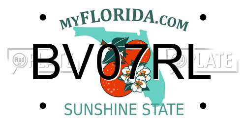 BV07RL Florida License Plate