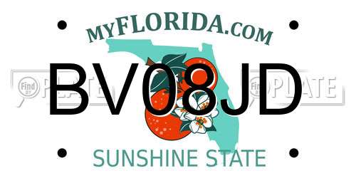 BV08JD Florida License Plate