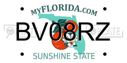 BV08RZ Florida License Plate