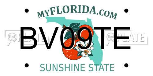 BV09TE Florida License Plate