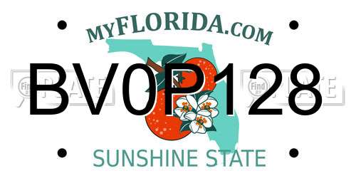 BV0P128 Florida License Plate