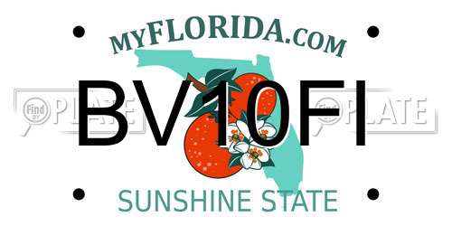 BV10FI Florida License Plate