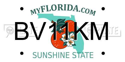 BV11KM Florida License Plate