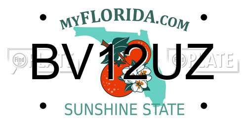 BV12UZ Florida License Plate