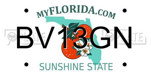 BV13GN Florida License Plate
