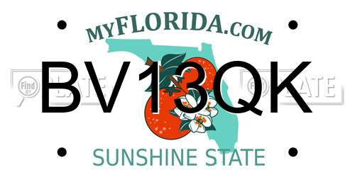 BV13QK Florida License Plate