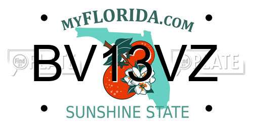 BV13VZ Florida License Plate