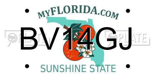 BV14GJ Florida License Plate