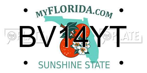 BV14YT Florida License Plate