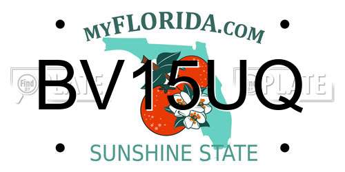 BV15UQ Florida License Plate