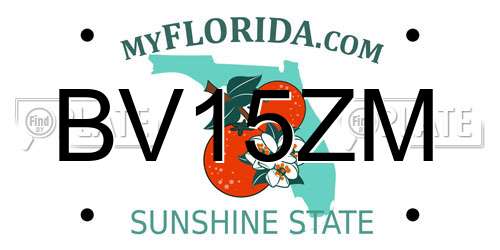 BV15ZM Florida License Plate